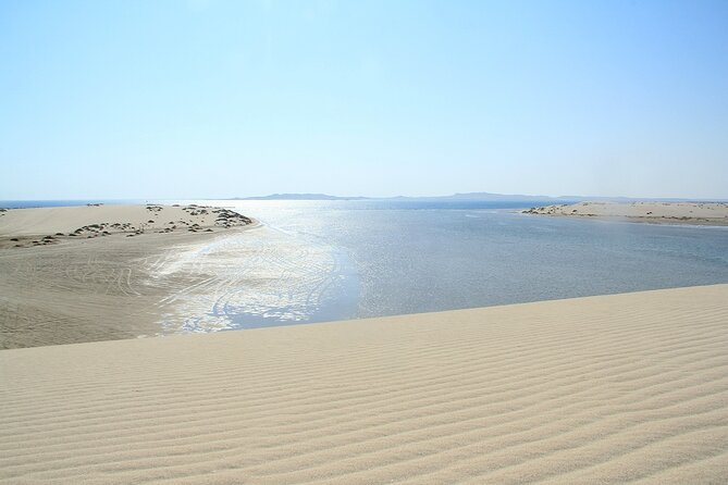 Desert Safari, Quad Bike, Sandboarding and Camel Ride - What the strongest feedback tells you