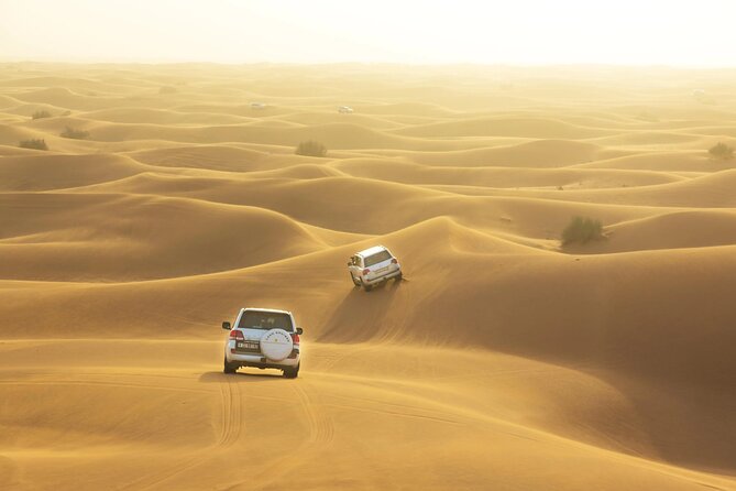 Desert Safari, Quad Biking, Sand Surfing and BBQ Dinner In Dubai - Who will enjoy this six-hour outing?