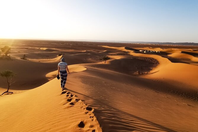 Desert Safari With BBQ Dinner, Quad Ride And And Sand-boarding - Sandboarding and the high dune photo stop