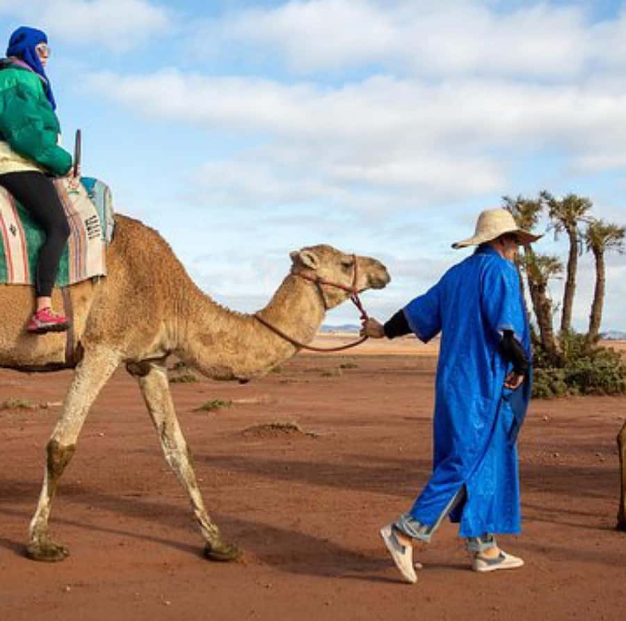 Dinner show in agafay Desert 1h quad bike & 20 min camels - Who Will Enjoy This Most?