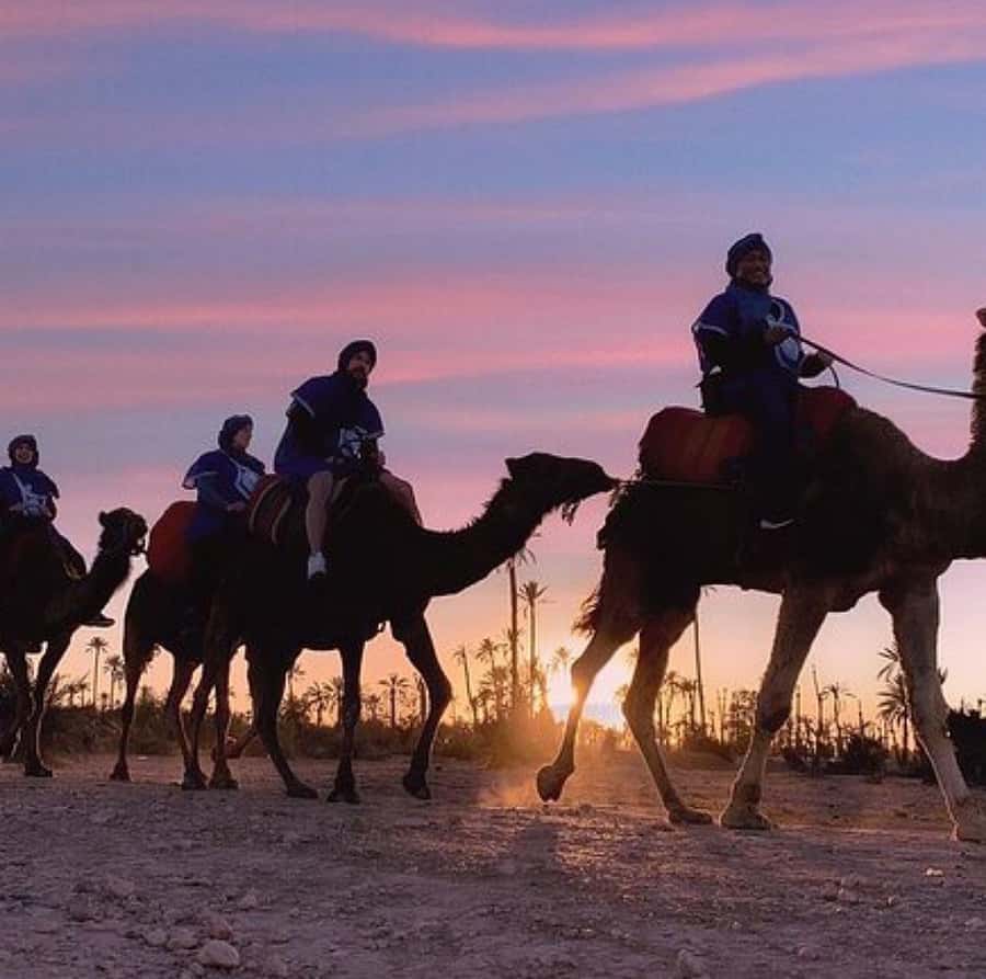 Dinner show in agafay Desert 1h quad bike & 20 min camels - Why Agafay Works for a Quick Desert Escape