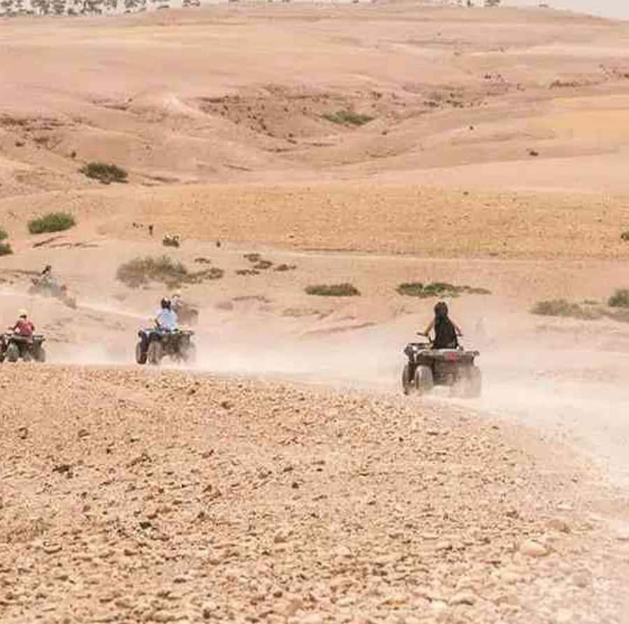 Dinner show in agafay Desert 1h quad bike & 20 min camels - Mint Tea, the Argan Stop, and the Pace of the Day