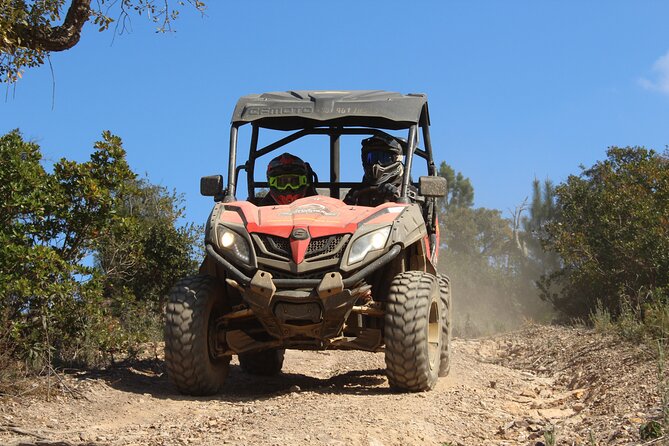Dirt & Dust Buggy Tour - Key points at a glance