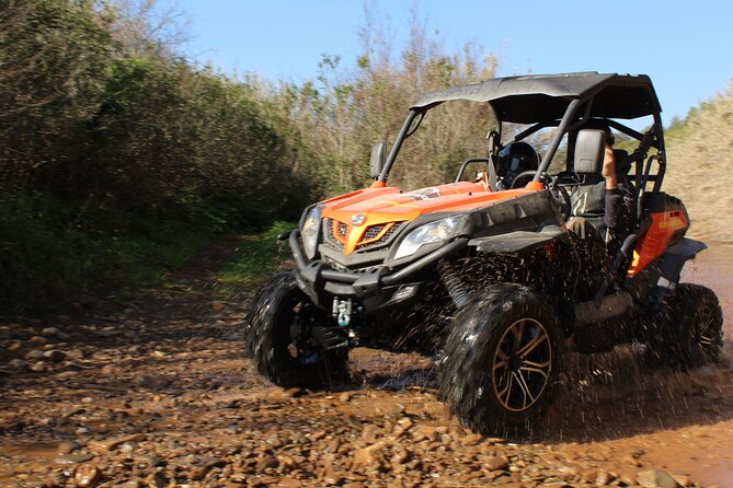 Dirt & Dust Buggy Tour - The café stop, cake, and one useful cash tip