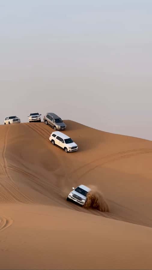 Doha Activities: Desert Safari, Dune Bashing & Inland Sea - Why this four-hour desert trip works well from Doha