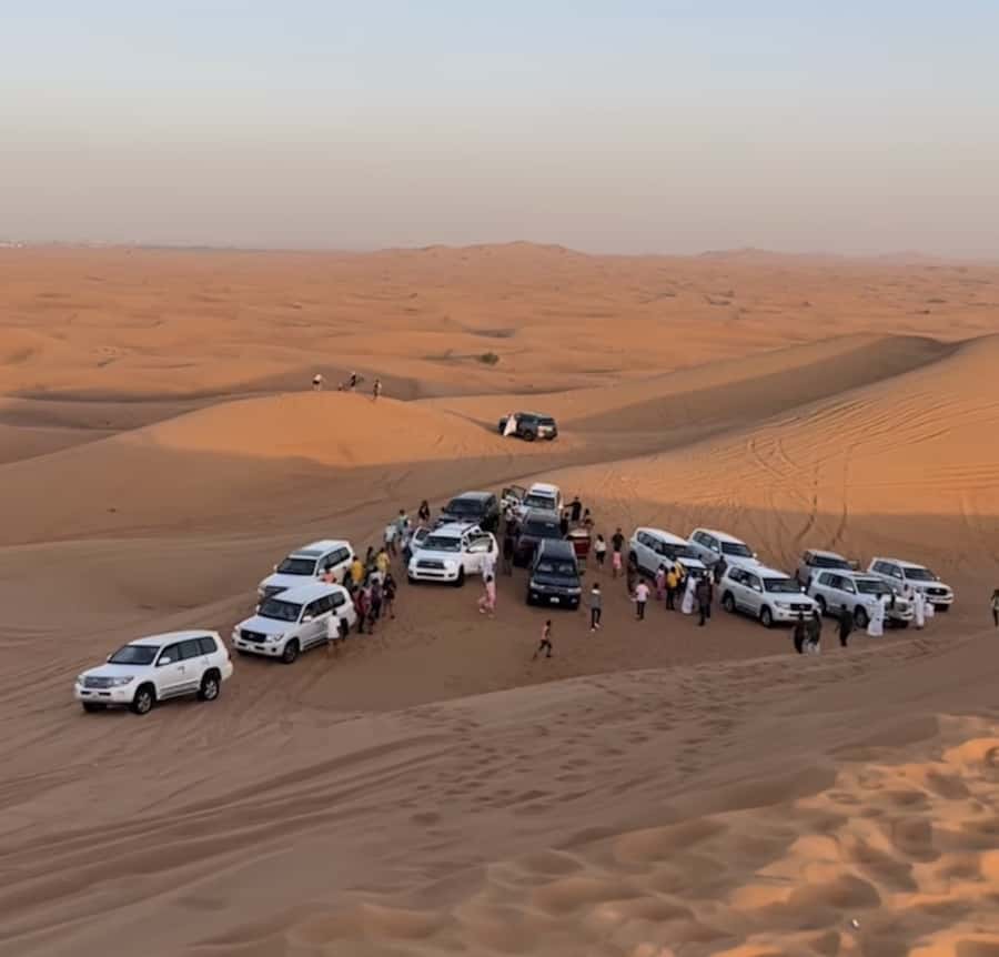 Doha Activities: Desert Safari, Dune Bashing & Inland Sea - Dune bashing and sandboarding across the Sandline Dunes