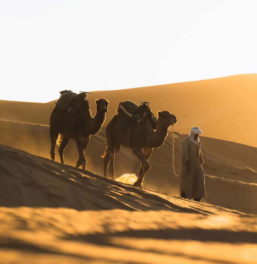 Doha: ATV/Desert Safari with Activities and Inland Sea Stop - Sunset photo stops and desert views