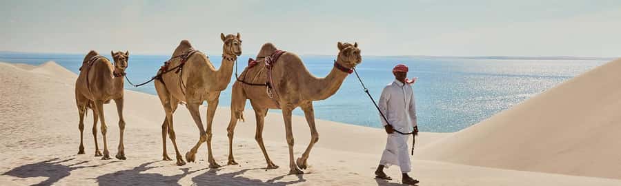 Doha: ATV/Quad, Safari 4x4, Camels, Sandboarding& Inland Sea - Sandboarding, camels, and optional quad biking