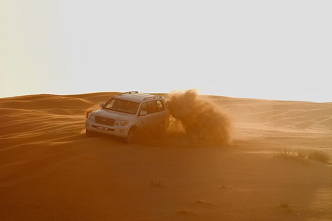 Doha Desert Adventure, Sandboarding, Dune Bashing,Inland Sea Tour - Camels, falcons, and what you should confirm