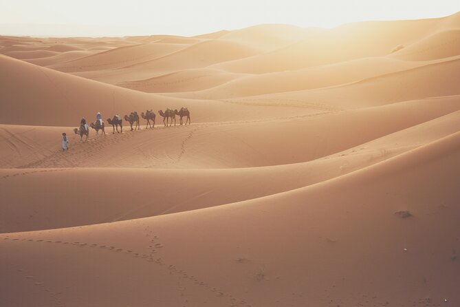 Doha Desert Adventure, Sandboarding, Dune Bashing,Inland Sea Tour - What $60 buys you