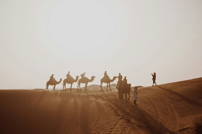 Doha Desert Excursion Dune Bashing Sandboarding Camel Ride - Sandboarding on Qatar’s dunes