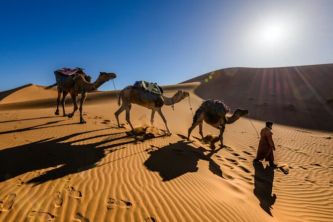 Doha Desert Excursion Dune Bashing Sandboarding Camel Ride - Khor Al Adaid and the Inland Sea