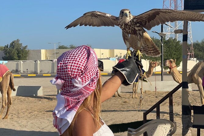 Doha Desert Safari Camel Ride Dune Bashing and ATV Bike - The Inland Sea and the best desert views