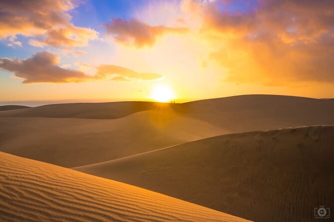Doha Desert Safari Dune Bashing Camel Ride Sandboarding - What the $60 Doha desert safari really offers