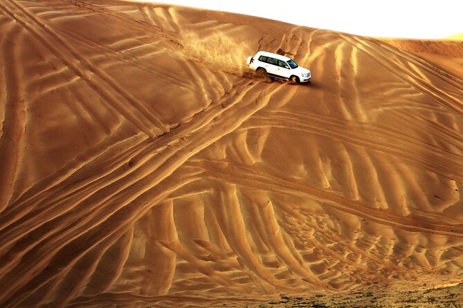 Doha Desert Safari Dune Bashing Camel Ride Sandboarding - Adding the $10 camel ride