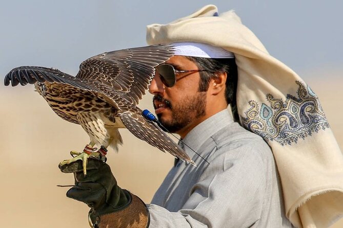 Doha Desert Safari Dune Bashing Camel Ride Sandboarding - Guide service and the private-tour advantage