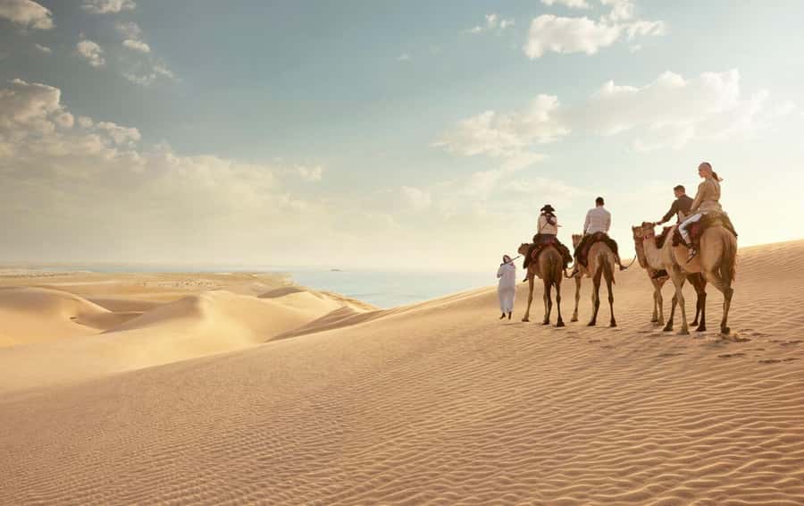 Doha: Desert Safari, Dune Bashing, Inland Sea With Transfers - From Doha streets to Qatar’s open desert