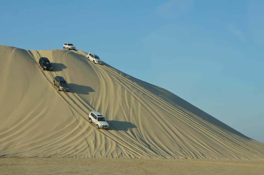 Doha: Desert Safari, Dune Bashing, Inland Sea With Transfers - A short camel ride with plenty of photo value