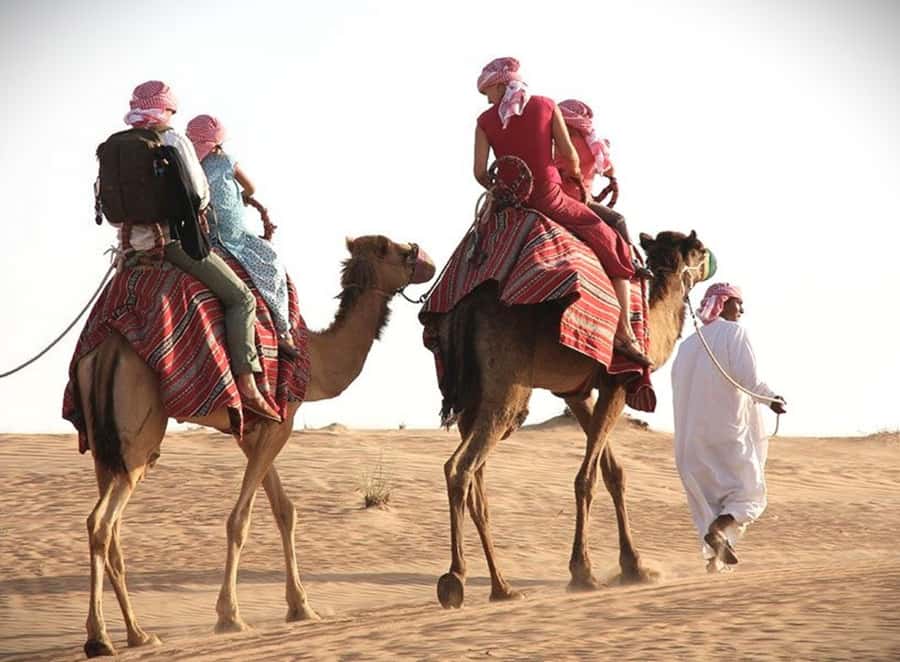 Doha: Desert Safari Dune Bashing, Sandboarding, & Camel Ride - Dune bashing: Qatar’s desert roller coaster