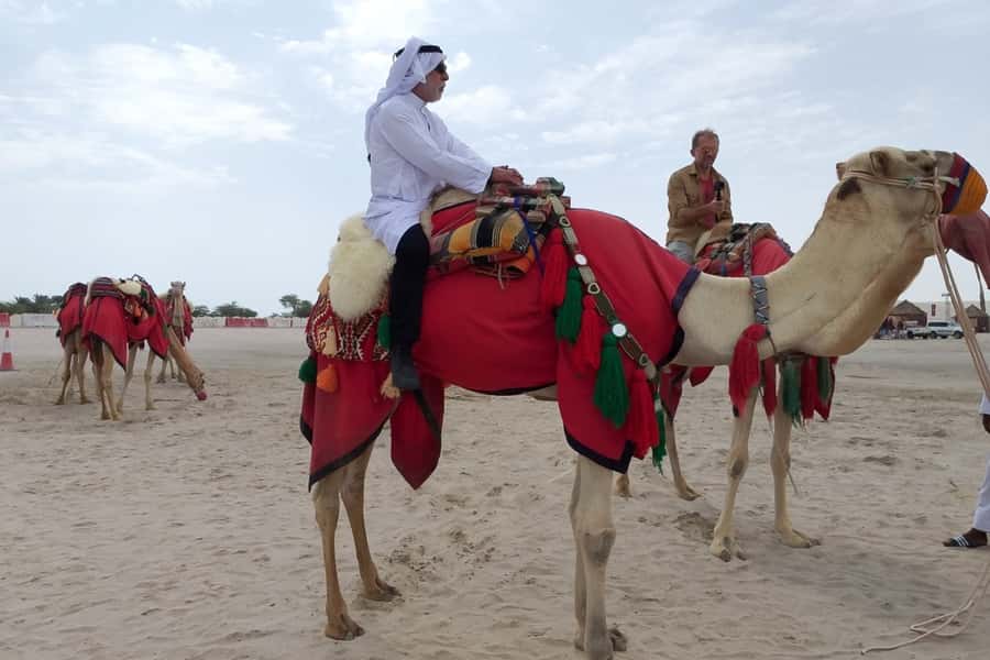 Doha: Desert Safari Dune Bashing, Sandboarding, & Camel Ride - How the four hours are divided