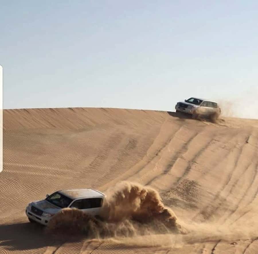 Doha: Desert Safari Dune Bashing, Sandboarding, & Camel Ride - Is $30 good value?