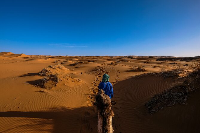 Doha Desert Safari Dune bashing,Sandboarding,CamelRide,Inland Sea - Who Should Book This Desert Safari?