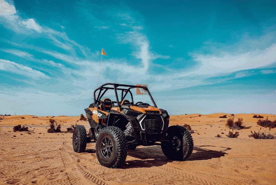 Doha: Desert Safari Experience – Quad Bike, Buggy/Camel Ride - Dune Bashing: The Main Adrenaline Rush