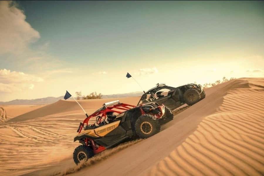 Doha: Desert Safari, Quad Bike, Camel Ride & Inland Sea Tour - How the 270 minutes are really used