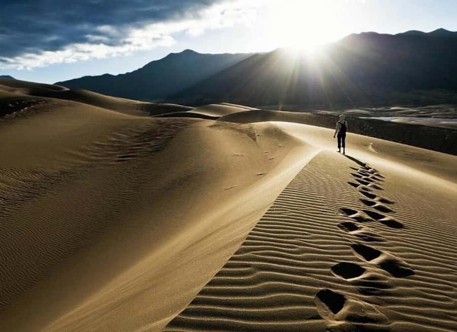 Doha: Desert Safari, Quad Biking, Sand Boarding & Camel Ride - Key points to know before you book