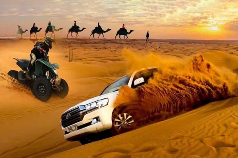 Doha: Desert Safari, Quad Biking, Sand Boarding & Camel Ride - Bedouin camp, camels, falcons, and a cup of tea