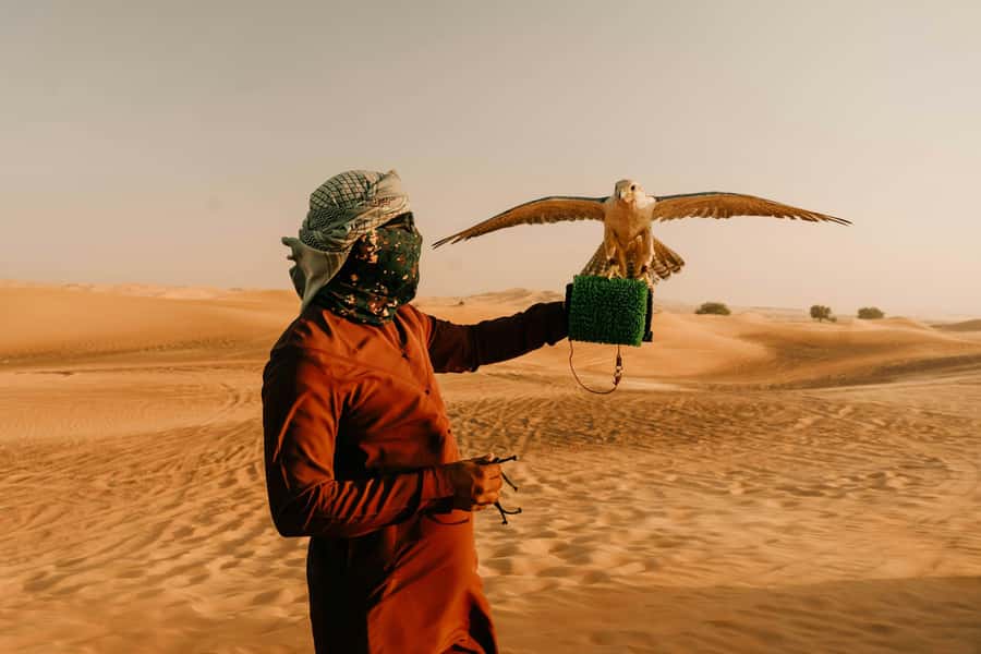 Doha: Desert Safari, Sandboarding, Dune Bashing & Inland Sea - Khor Al Adaid and the Inland Sea