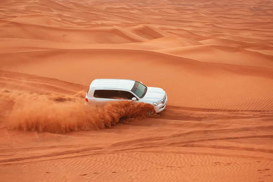 Doha: Desert Safari, Sandboarding, Dune Bashing & Inland Sea - Who should book this desert safari?