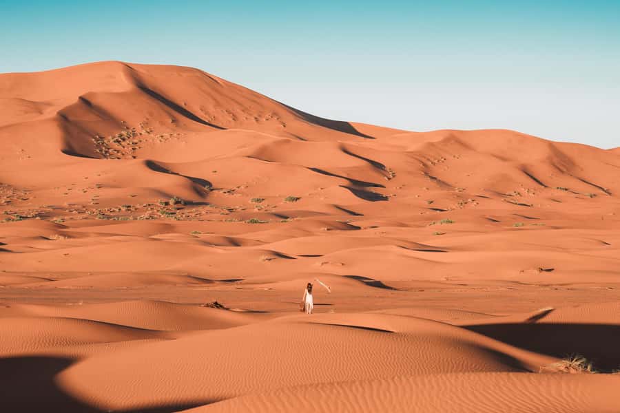 Doha: Desert Safari, Sandboarding, Dune Bashing & Inland Sea - Booking details that matter