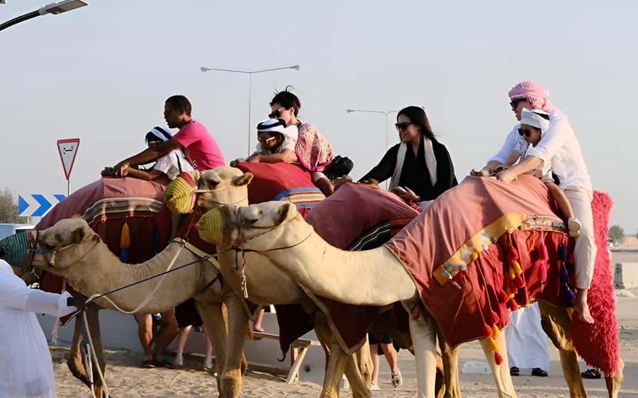 Doha: Desert Safari, Sandboarding, Dune Bashing & Inland Sea - Mesaieed: a short camel and camp stop