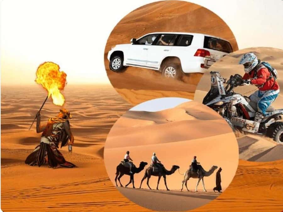 Doha:Desert Safari with Camel Ride, ATV Bike,& Sand Boarding - The camel ride offers a quiet start
