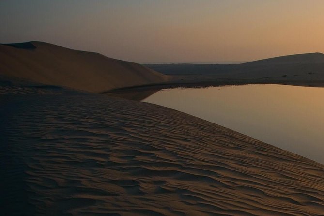 Doha: Desert Safari With Quad bike ,Camel Ride And Sand Boarding - Sealine Beach: tea, coffee, toilets, and camels