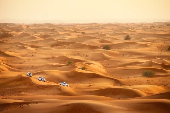 Doha: Desert Safari With Quad bike ,Camel Ride And Sand Boarding - Reaching Khor Al Adaid, Qatar’s Inland Sea