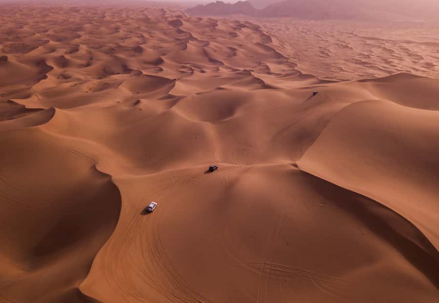 Doha: Desert Safari with Quad Bike, Sandboard & Camel Ride - Who should book this desert safari?