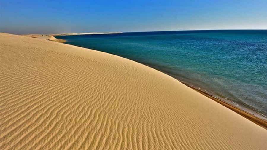 Doha: DesertSafari with Quad Bike, Camel Ride & Sandboarding - Leaving Doha for Qatar’s golden dunes