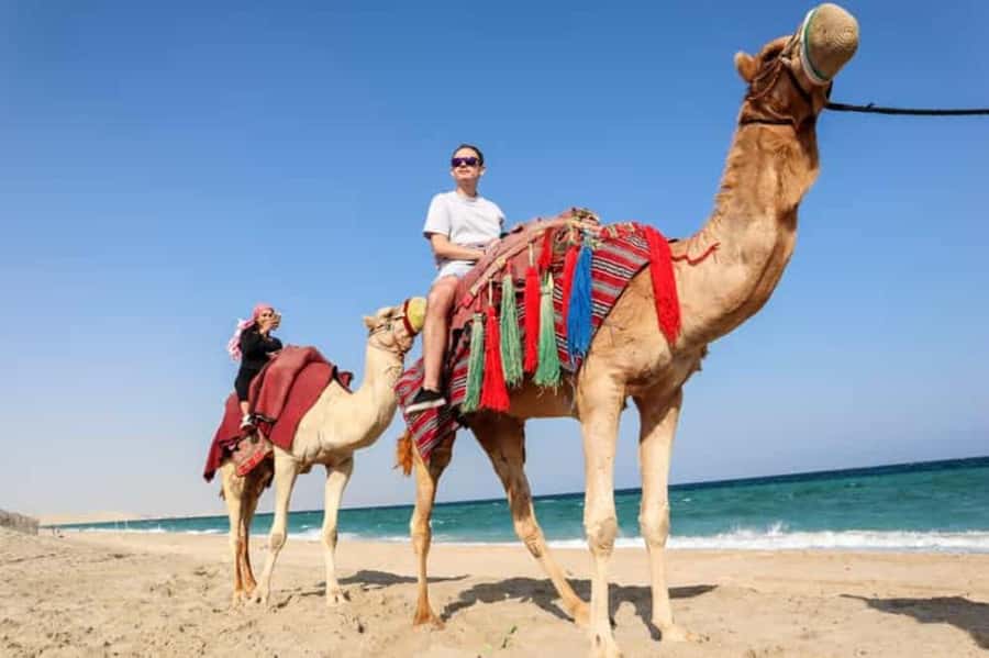 Doha: DesertSafari with Quad Bike, Camel Ride & Sandboarding - Sandboarding down the soft dunes