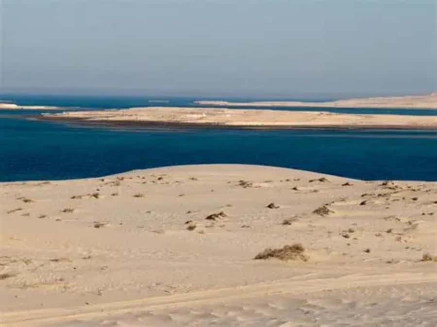 Doha: DesertSafari with Quad Bike, Camel Ride & Sandboarding - How the $18 price compares with the experience