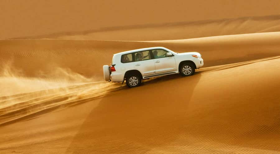 Doha: Half Day Desert Safari, Dune Bashing, Camel Ride - Who should book this half-day safari?