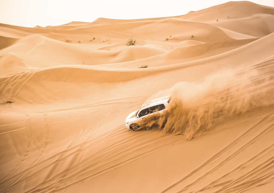 Doha: Half-Day Desert Safari, Quad Bike, Camels & Inland Sea - Key points to know before you book