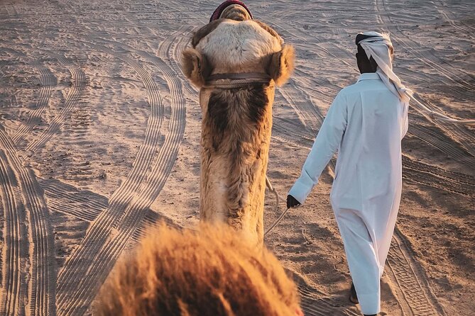 Doha-Half Day Safari with Quad Bike ATV/Camel Ride/sandboard - Camel riding brings the pace back down