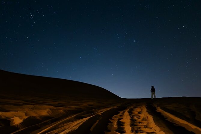 Doha Night Desert Safari Camel Ride Dune Bashing with Transfer - Who will enjoy this evening most?
