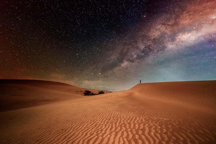 Doha: Nighttime Desert Safari with Dune Bashing & Camel Ride - Quick take: what makes this desert safari worth considering