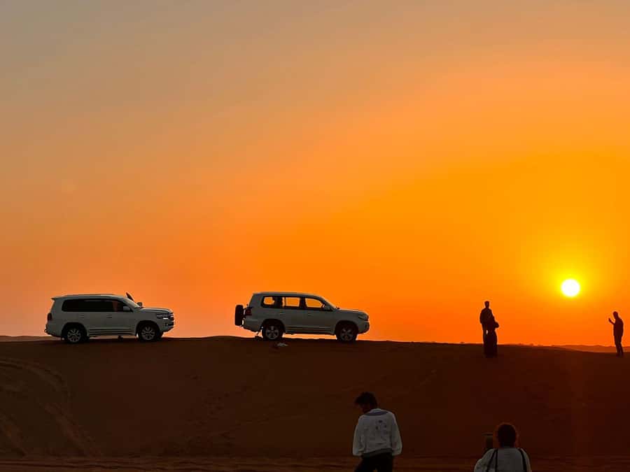 Doha: Nighttime Desert Safari with Dune Bashing & Camel Ride - Who should book this nighttime safari?
