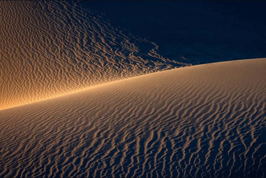 Doha: Nighttime Desert Safari with Dune Bashing & Camel Ride - Khor Al Udaid after sunset