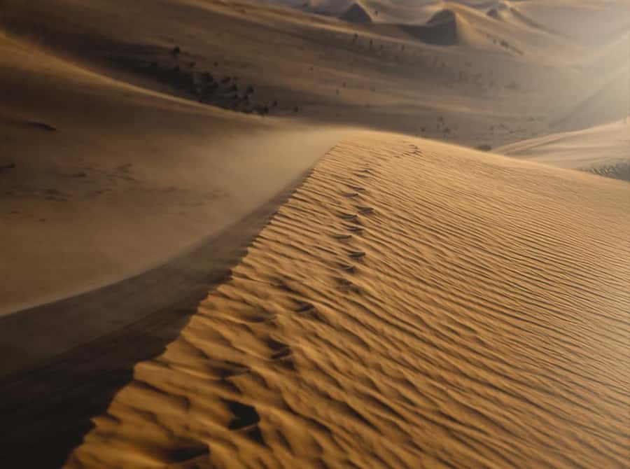 Doha: Nighttime Desert Safari with Dune Bashing & Camel Ride - Safety, comfort, and how rough it gets