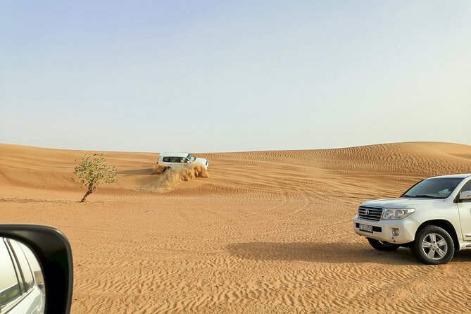 Doha Quad Bike, Dune Bashing, Camel Ride and Island Sea Tour - Camels, falcons, and a slower side of the desert
